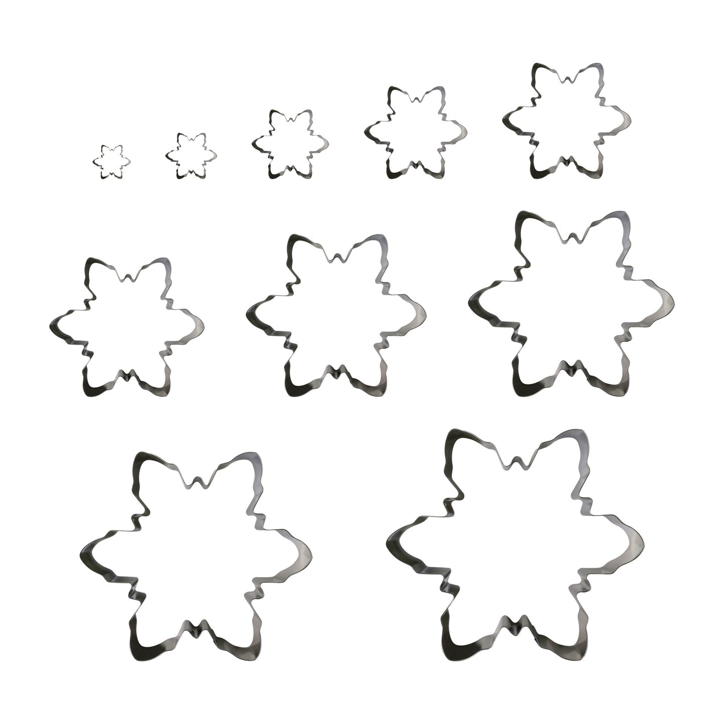 10pc S.S. Snowflake Cookie Cutter Set in Color Box - Rustic Holiday